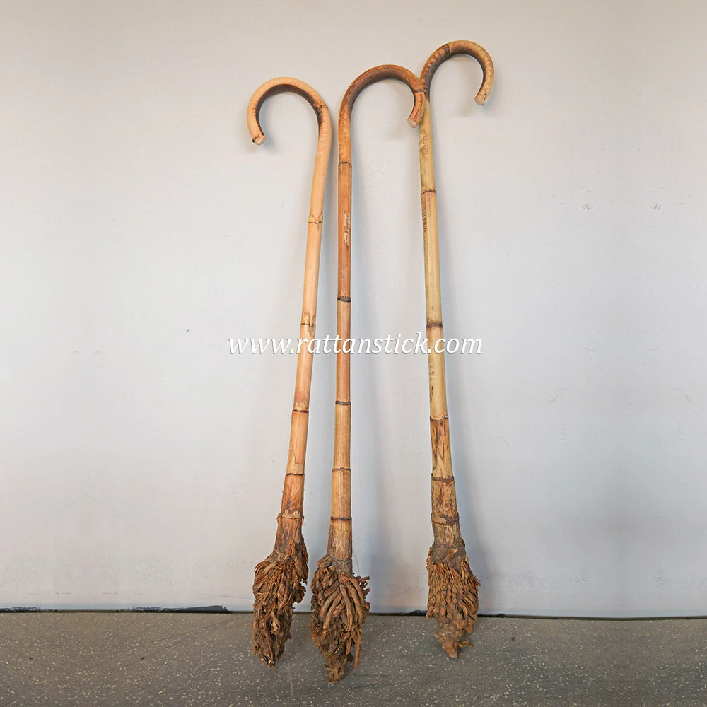 Root Rattan Walking Sticks Wholesale Support - Sturdy Lightweight Wooden Cane Bulk Supply For Medical Mobility Retailers And Hospitals